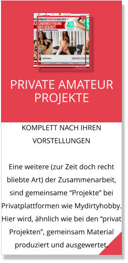KOMPLETT NACH IHREN VORSTELLUNGEN  Eine weitere (zur Zeit doch recht bliebte Art) der Zusammenarbeit, sind gemeinsame “Projekte” bei Privatplattformen wie Mydirtyhobby. Hier wird, ähnlich wie bei den “privat Projekten”, gemeinsam Material produziert und ausgewertet.  PRIVATE AMATEUR PROJEKTE