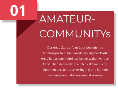 01 AMATEUR-COMMUNITYs Der erste Start erfolgt über bestehende Amateurportale. Hier würde ein eigenes Profil erstellt, das dann direkt selbst verwaltet werden kann. Hier stehen dann auch direkt sämtliche Optionen der Seite zur Verfügung und können nach eigenem Belieben genutzt werden.