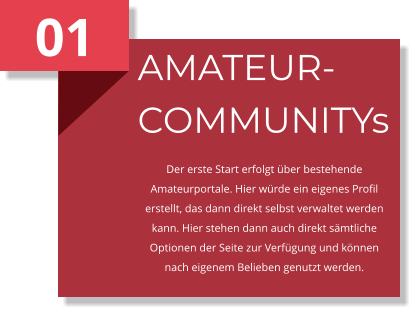 01 AMATEUR-COMMUNITYs Der erste Start erfolgt über bestehende Amateurportale. Hier würde ein eigenes Profil erstellt, das dann direkt selbst verwaltet werden kann. Hier stehen dann auch direkt sämtliche Optionen der Seite zur Verfügung und können nach eigenem Belieben genutzt werden.
